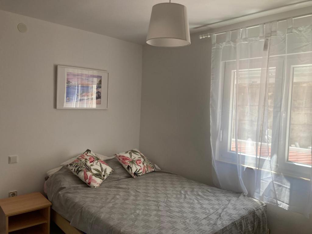 Apartmani Fijan باغ المظهر الخارجي الصورة