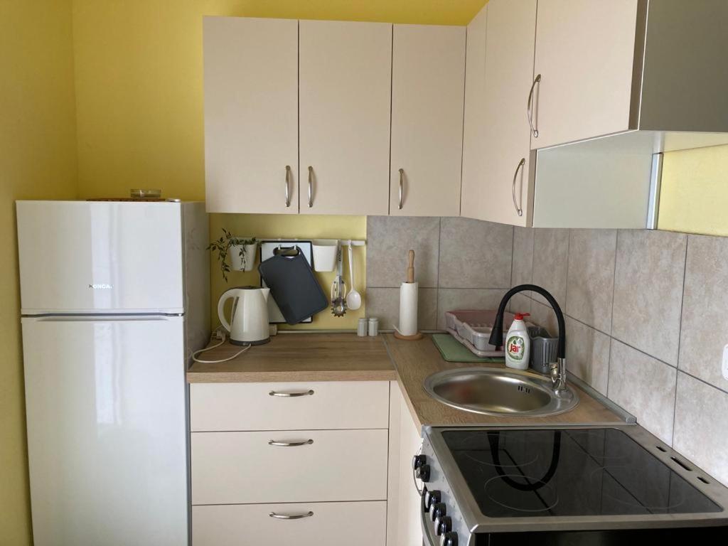 Apartmani Fijan باغ المظهر الخارجي الصورة